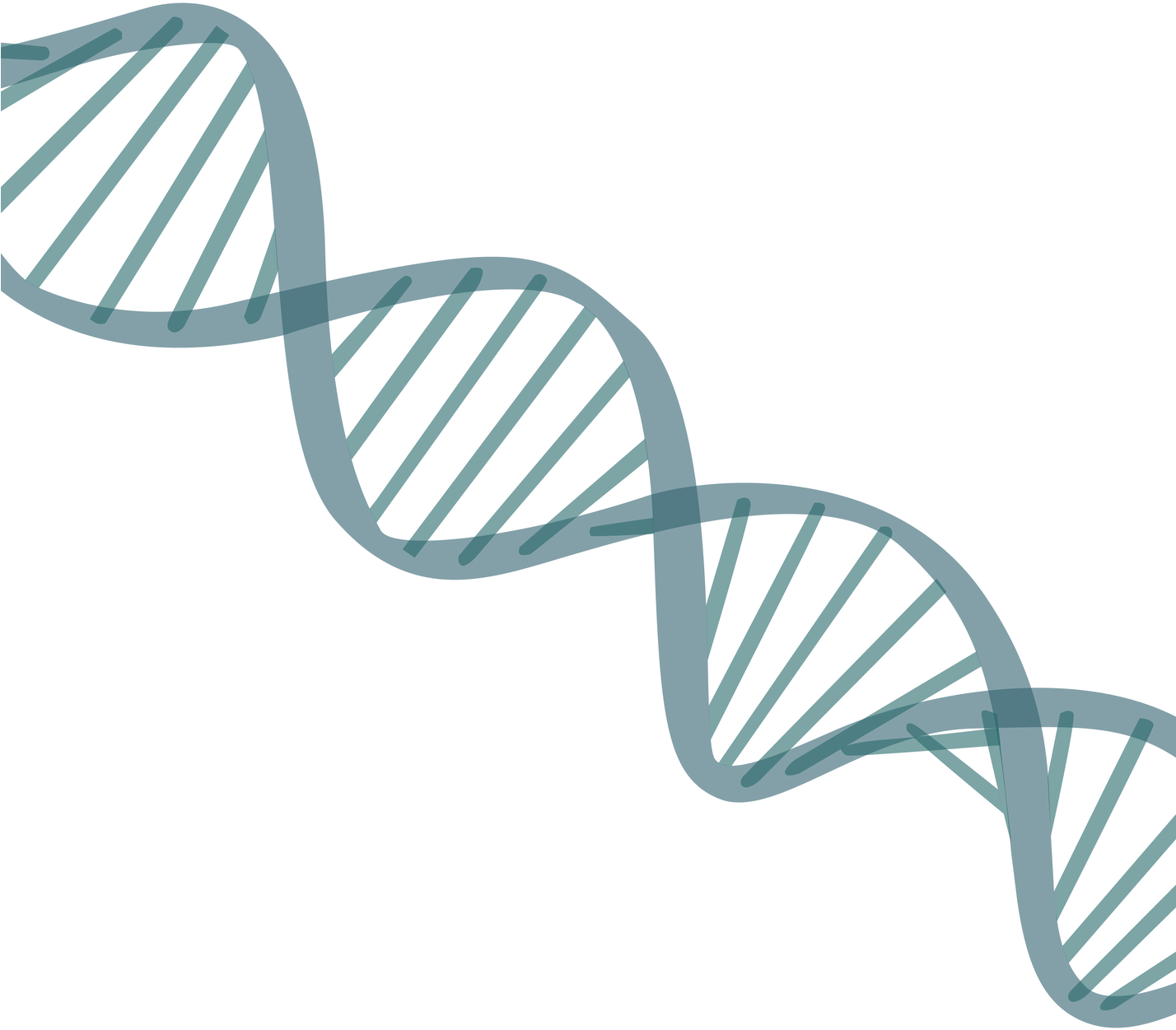 DNA Structure PNG Image HD