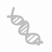 Struttura del DNA Foto PNG