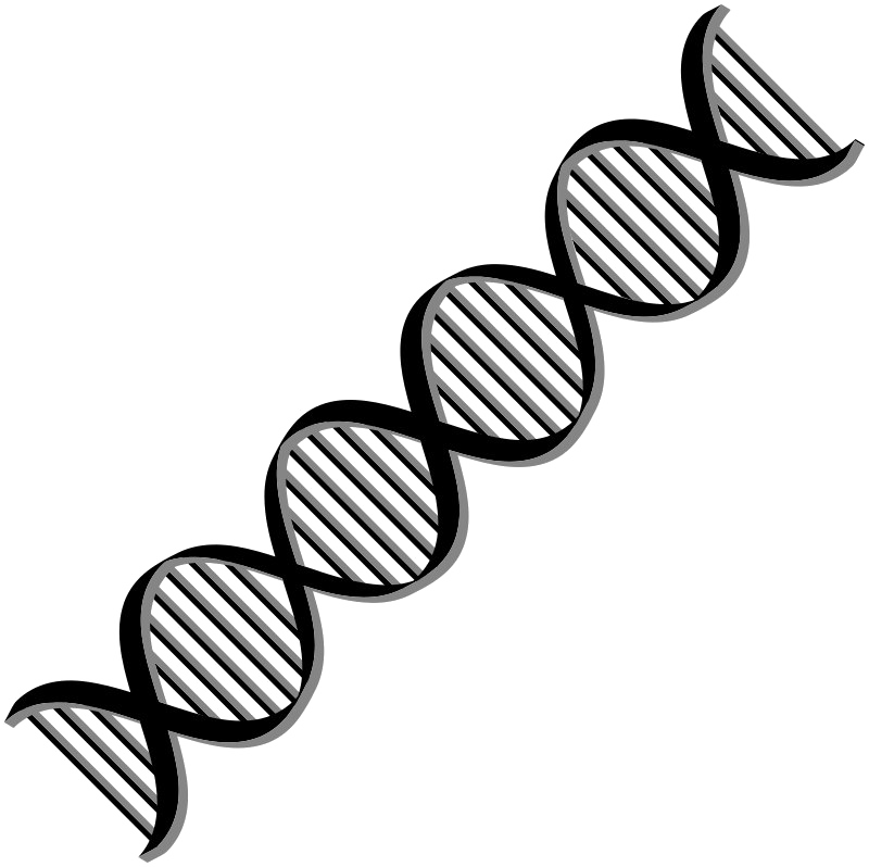 DNA Structure PNG Picture