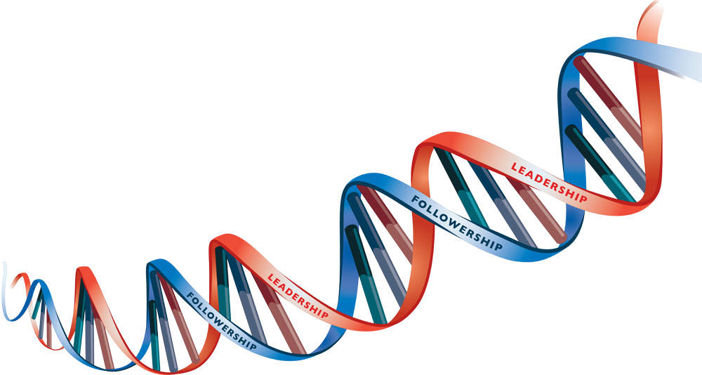 DNA Structure PNG