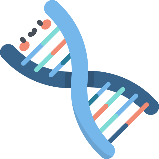 DNA Structure Transparent