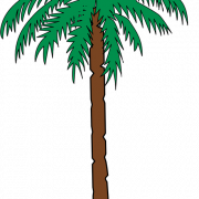 Tarih Palm Png HD görüntü