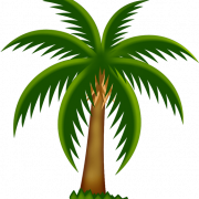 Поточная пальма PNG Pic