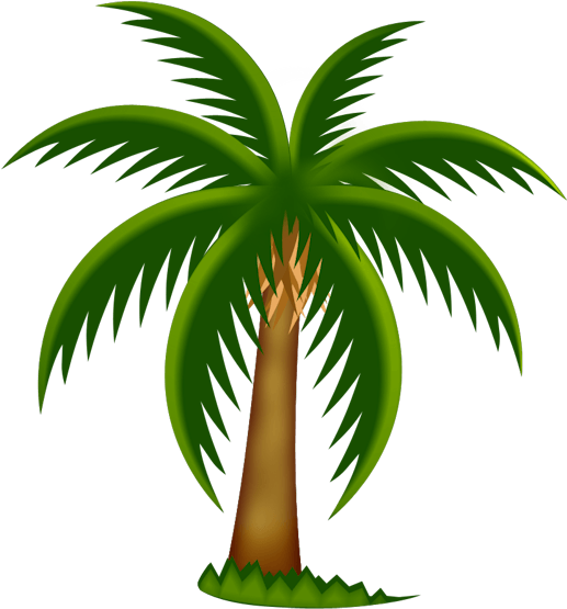 Date Palm PNG Pic