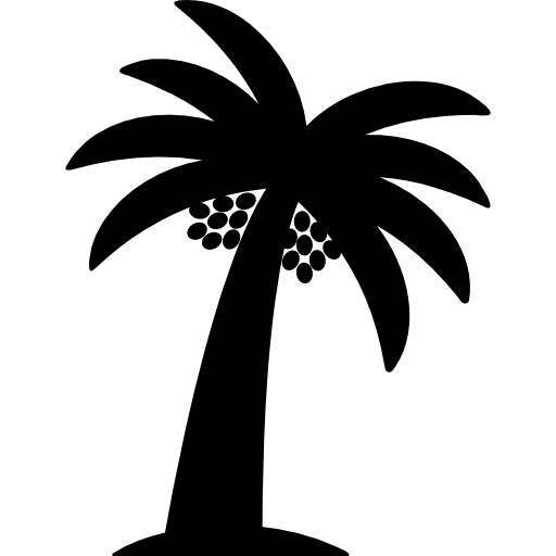 Date Palm Tree PNG Photo