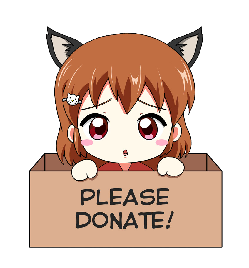Donate Box PNG