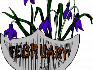 February No Background