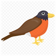 Finch Graphic PNG HD Imahe