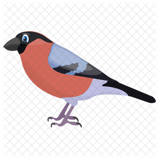Finch PNG HD Image