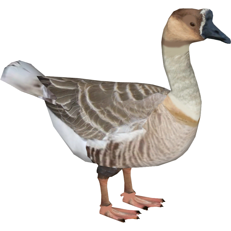 Goose PNG Pic