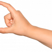 Hand PNG Clipart