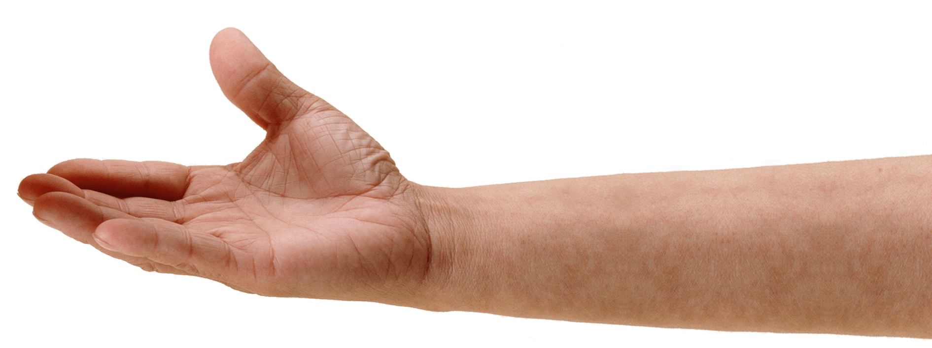 Hand PNG Images HD