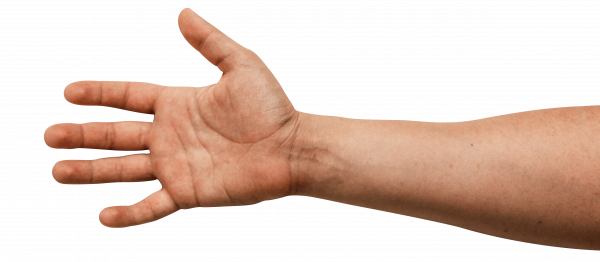 Hand PNG Photo