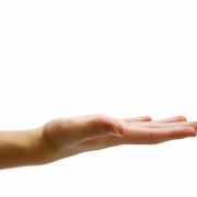 Hand PNG Picture