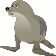 Harbor Seal PNG Image