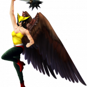 Hawkgirl PNG Image HD