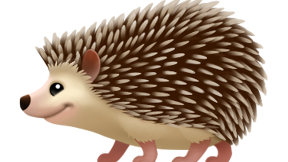 Hedgehog PNG Free Image