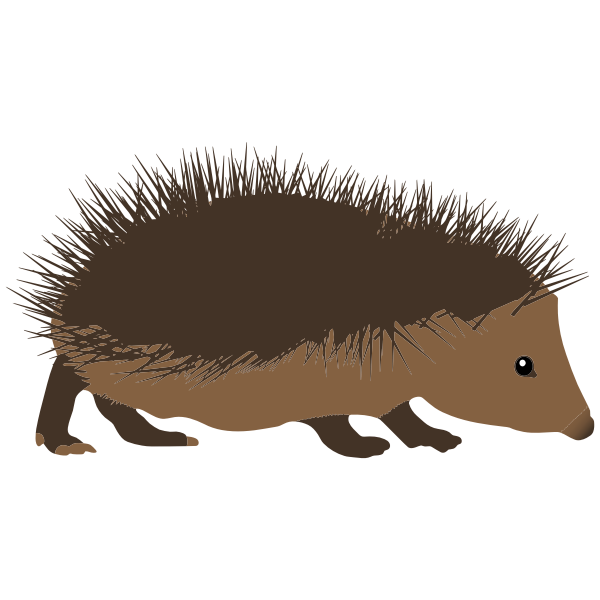 Hedgehog Vector PNG Cutout