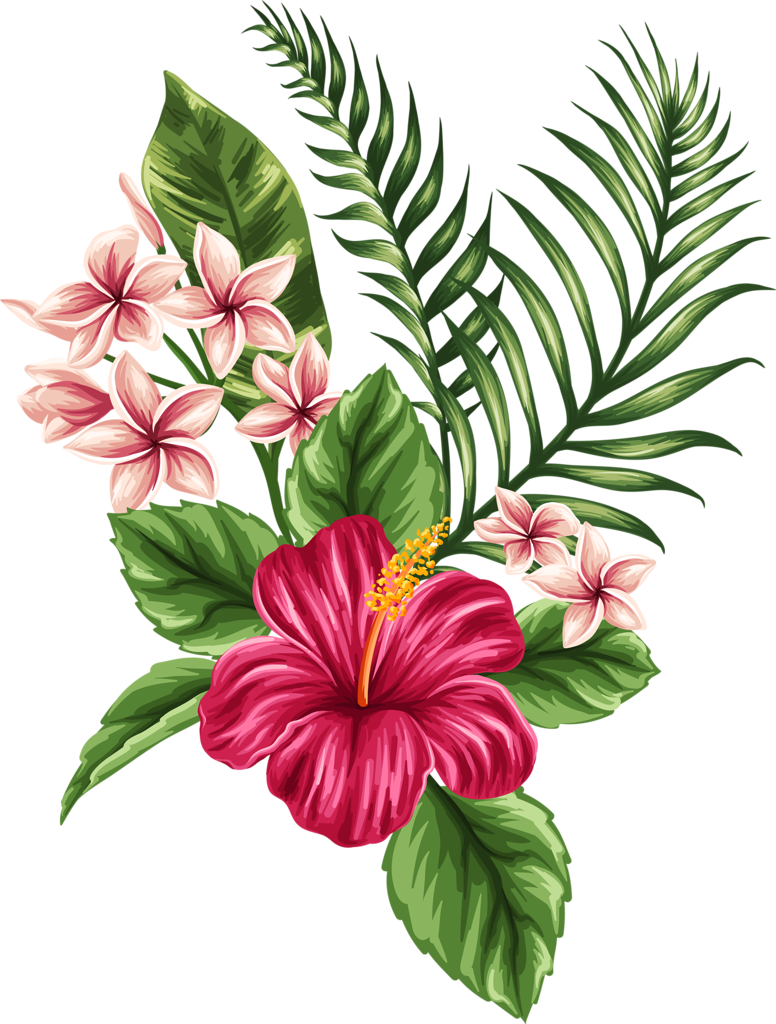 Hibiscus PNG Cutout