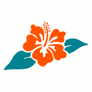 HIBISCUS PNG HD IMAGE