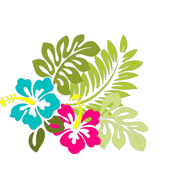Hibiscus PNG Images
