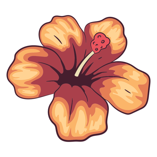 Hibiscus PNG Photo