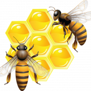 ملف العسل PNG