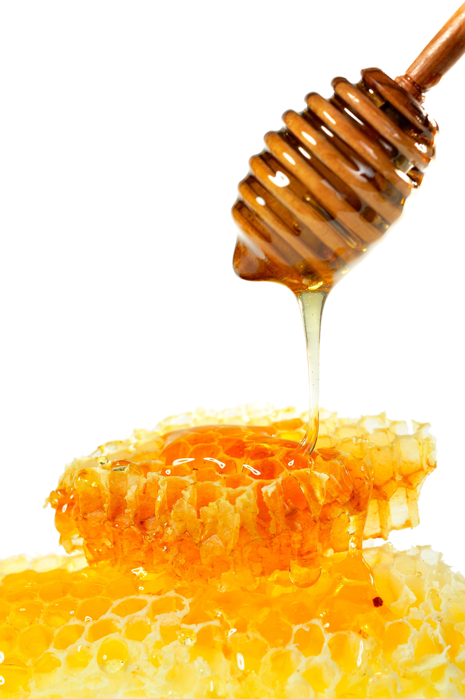 Honey PNG Image File