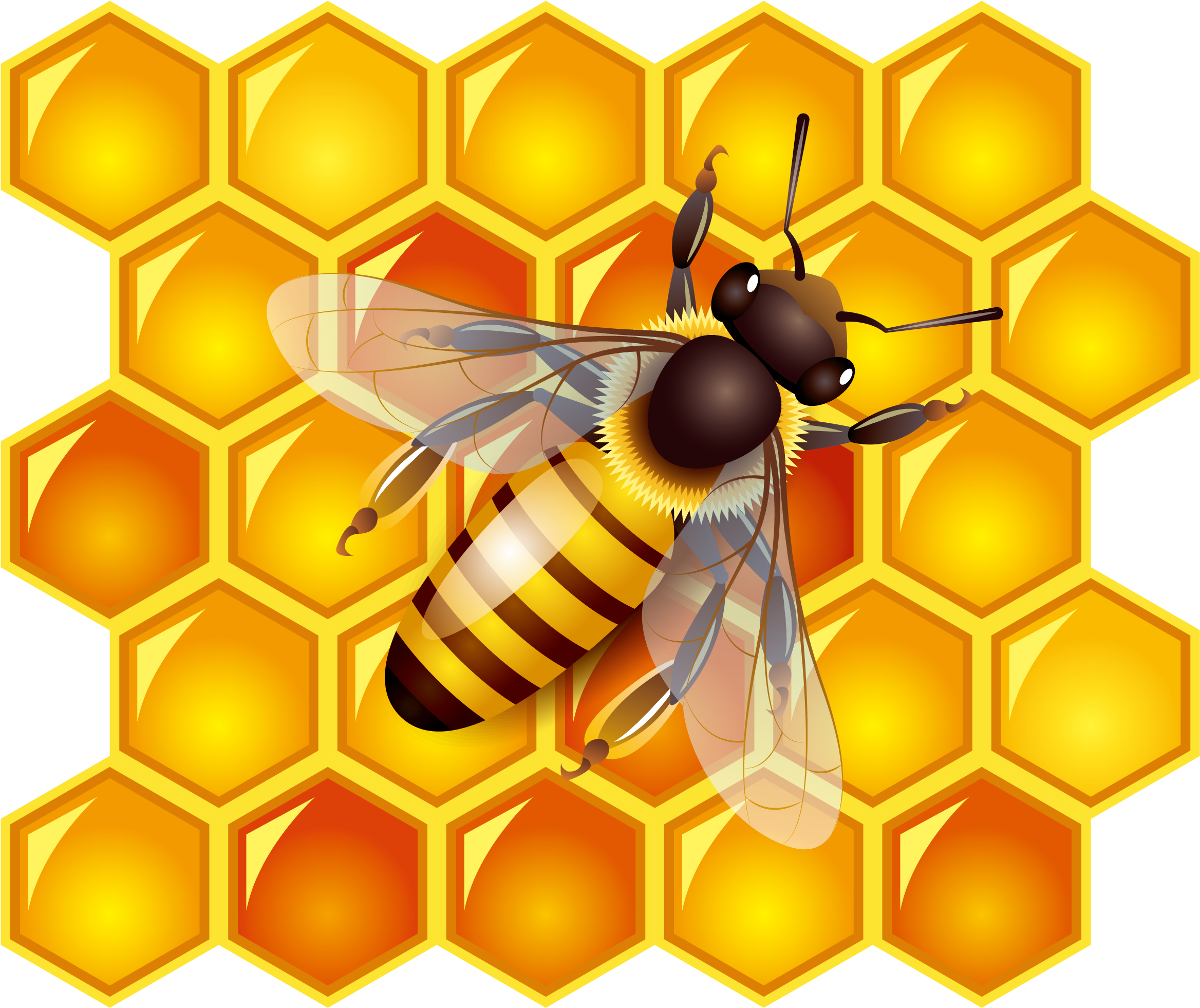 صور العسل PNG