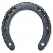 Horseshoe PNG Picture