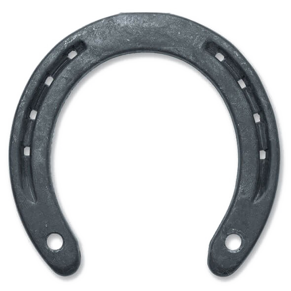 Horseshoe PNG Picture
