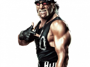 Hulk Hogan nessun background