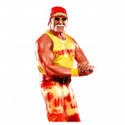 Hulk Hogan PNG HD Image