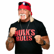 Hulk Hogan PNG Images