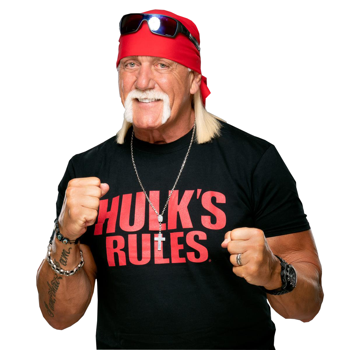 Hulk Hogan PNG Images