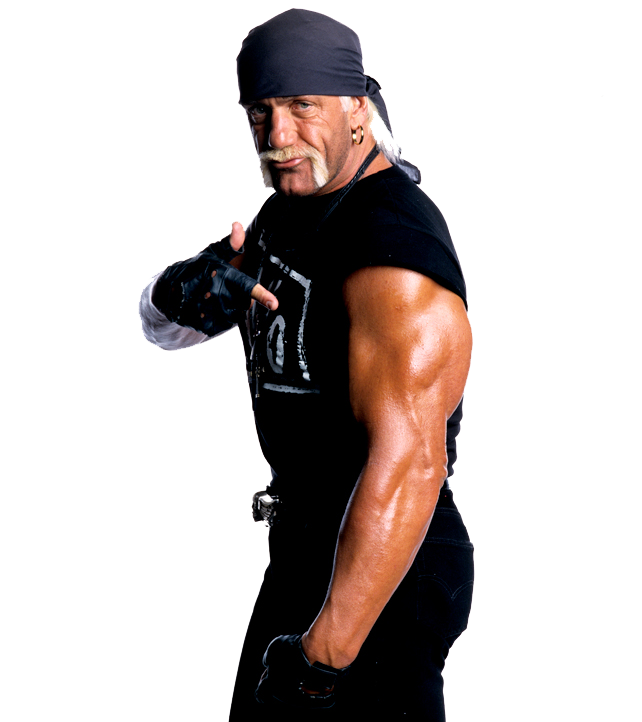 Hulk Hogan PNG Bild