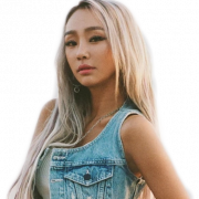 Découpe Hyolyn PNG