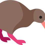 Pájaro del kiwi