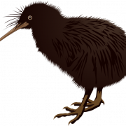 Kiwi uccello sfondo png