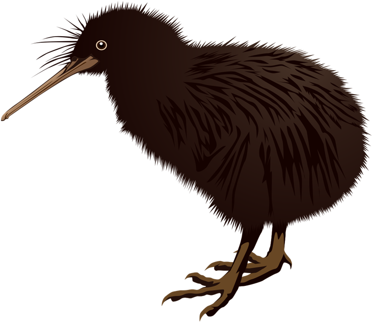 Kiwi Bird Background PNG