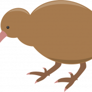 Kiwi Bird Nessun background