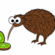 Kiwi -Vogel -PNG -Hintergrund
