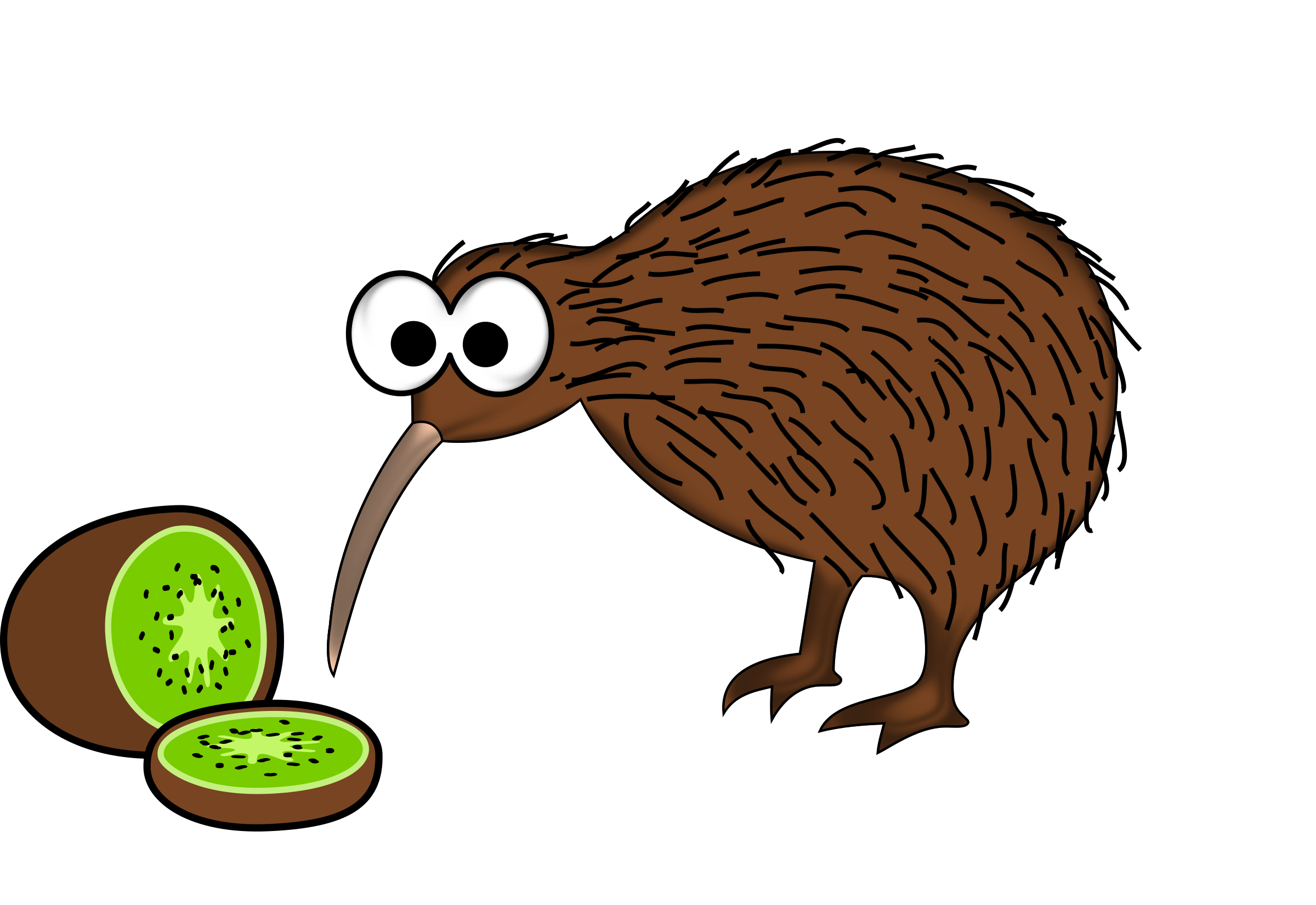 Kiwi Bird PNG Background