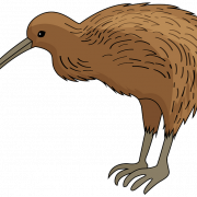 Arquivo png de pássaro kiwi
