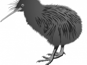 Kiwi Bird PNG -файл изображения