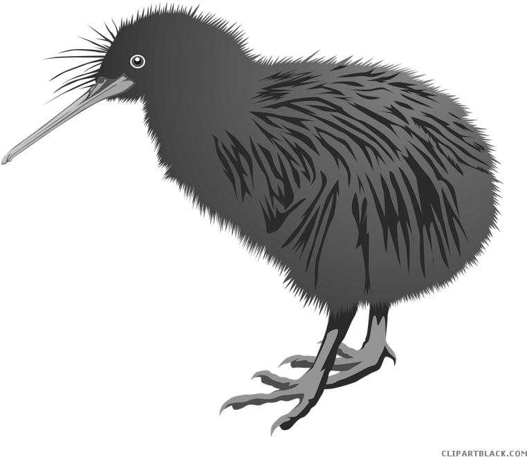 Kiwi Bird PNG Image File