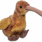 Imagen de png de pájaro kiwi