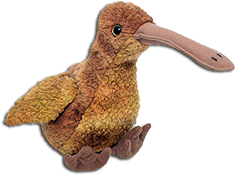 Kiwi Bird PNG Picture