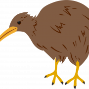 Kiwi Transparente de pássaro