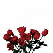 Love Red Aesthetic PNG Picture